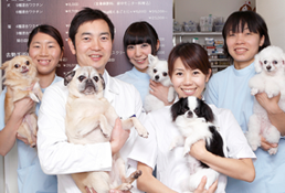レオどうぶつ病院のホームページをご覧いただきありがとうございます