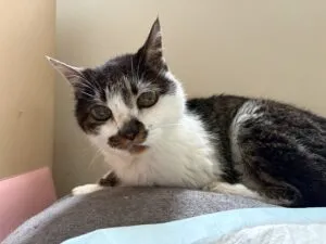 ロデム21歳になりました